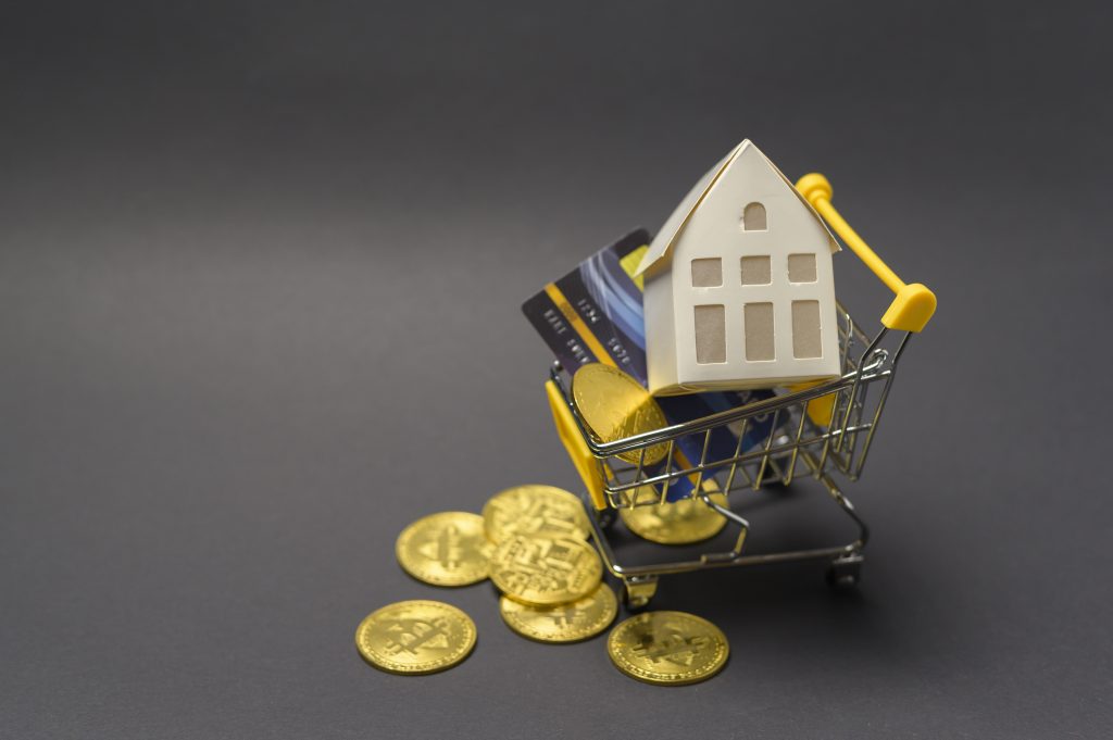 Real Estate In Cryptocurrency Era