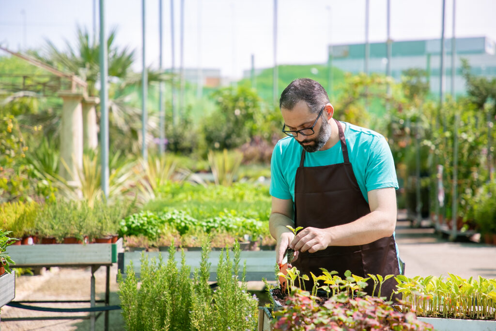 Starting Your Own Gardening and Landscaping Business